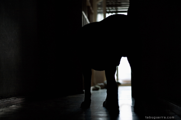 Tebu Guerra - A-solas