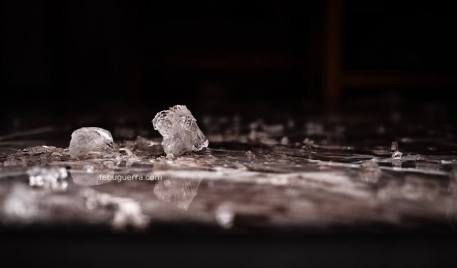 tebu guerra solo-pido